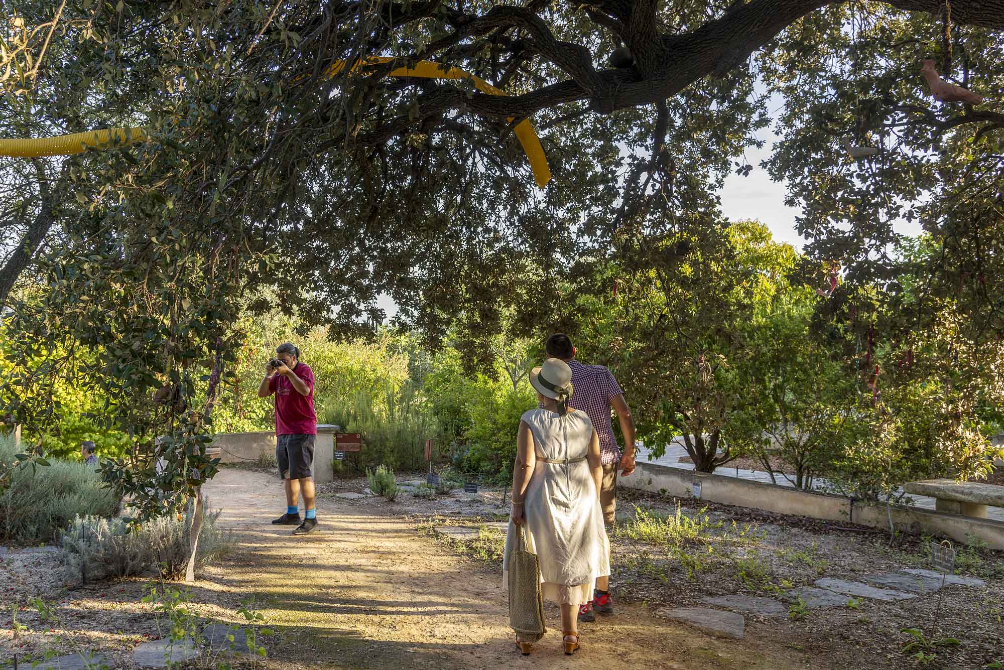 Jardin antique méditerranéen - © JP Degas - OT Archipel de Thau Méditerranée