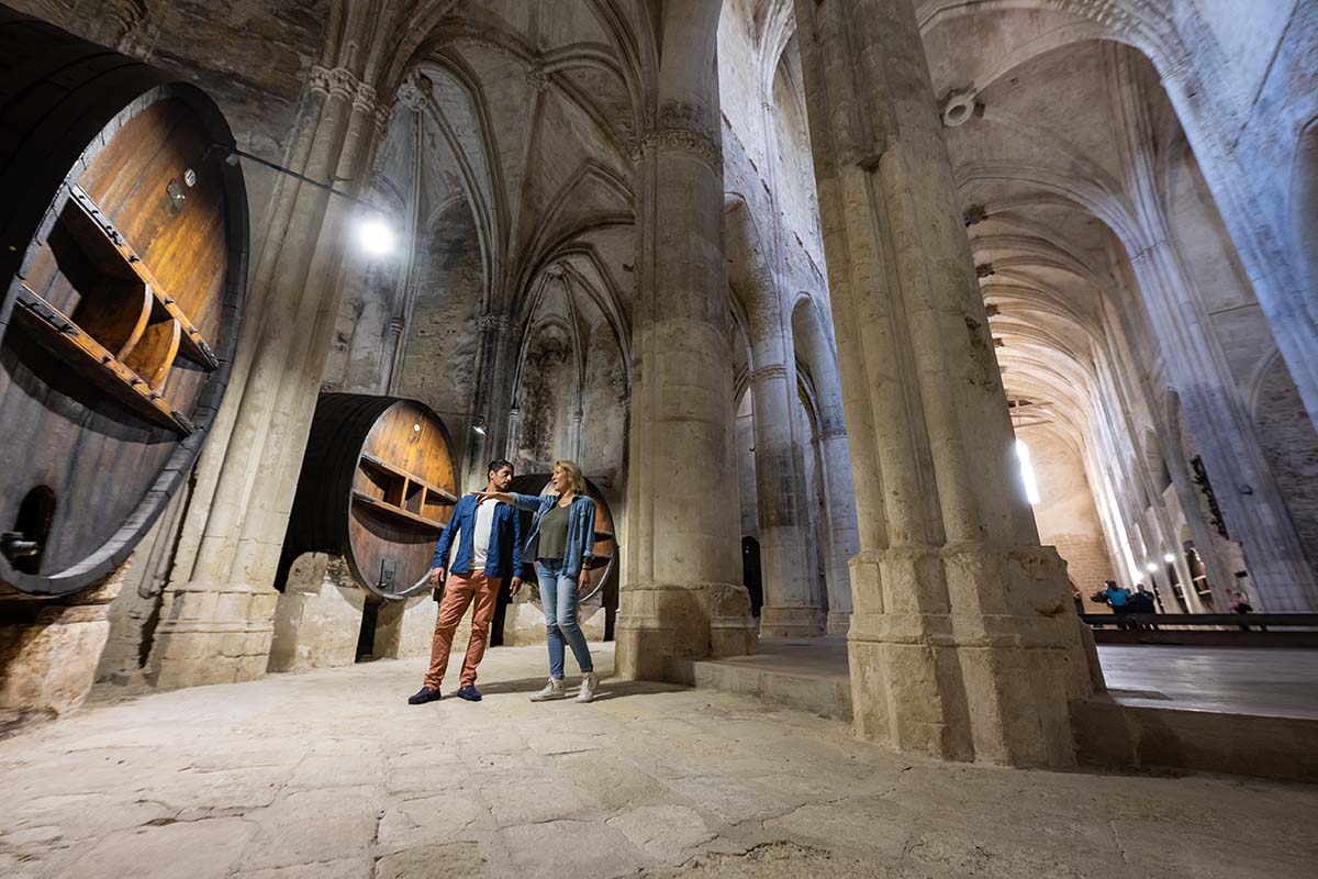 Les foudres de l'abbaye de Valmagne