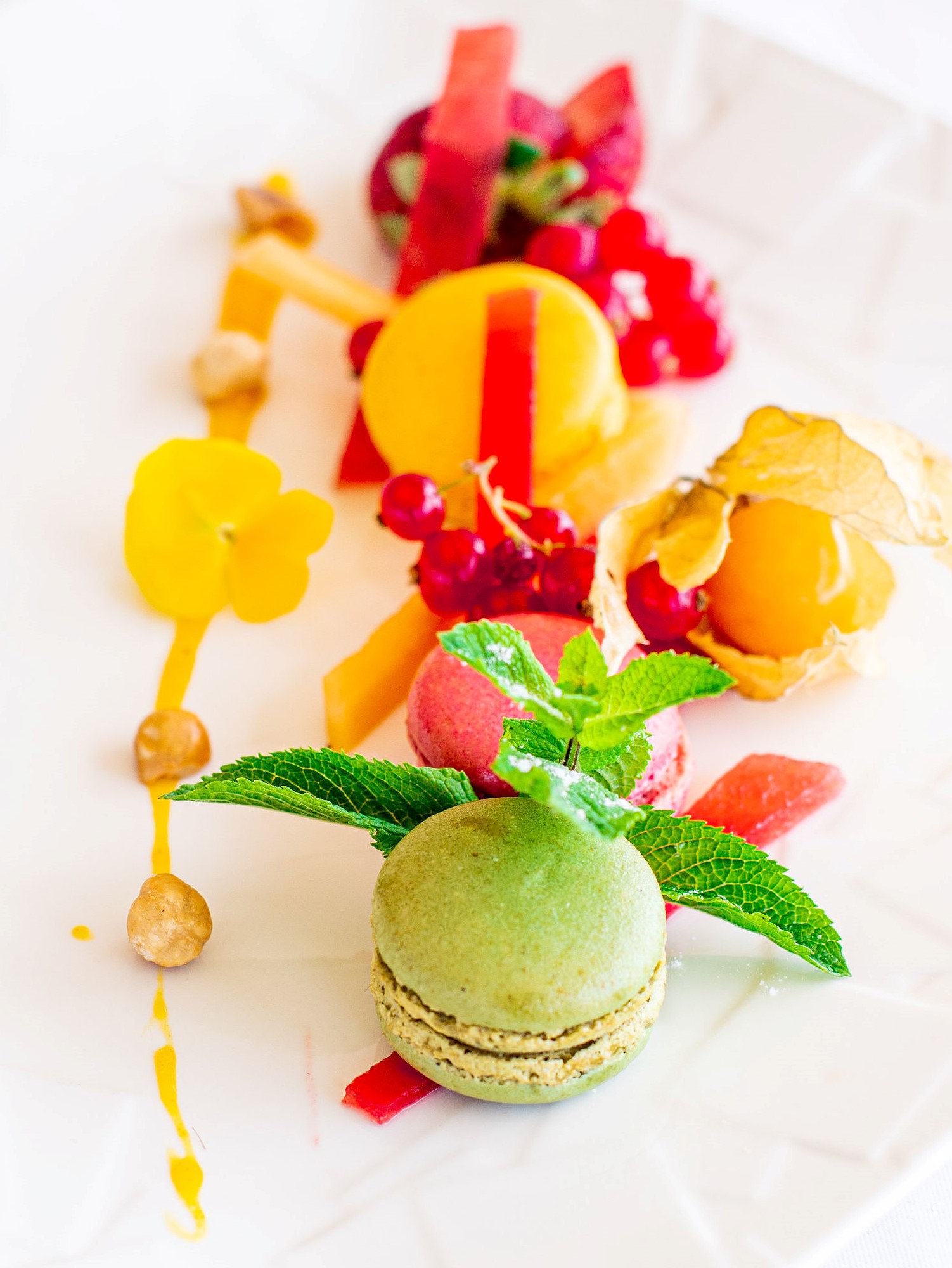 macaron-fruits-tailles-sorbet-f-11058447