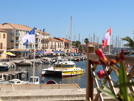 mansathau-arrive-16106843