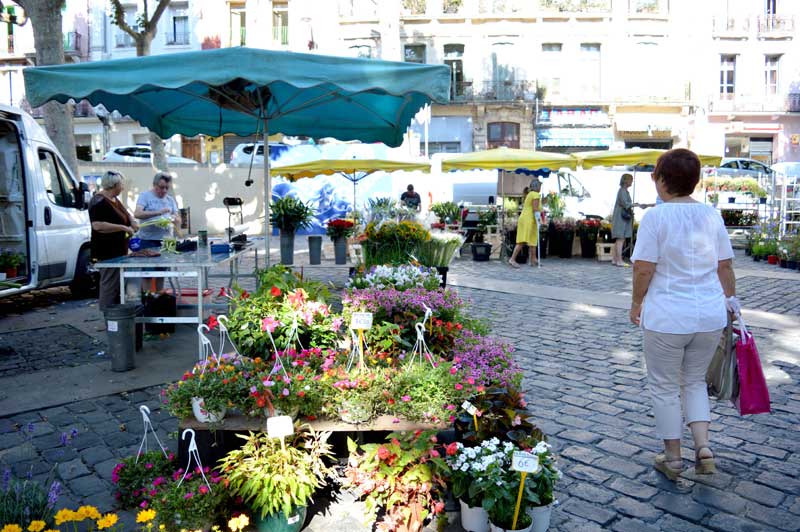 marche-aux-fleurs-lucia-caravano