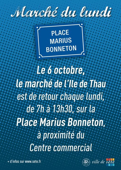 marche-de-l-ile-de-thau-sete-17892474