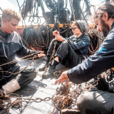 Le Götheborg fait escale à Sète