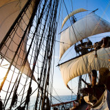 Le Götheborg fait escale à Sète