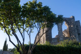 abbaye-saint-felix-de-montceau-m-ricard-ot-thau-26694-10781379