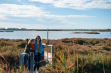 Les anciens salins de Frontignan