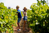 Fascinant Week-End Vignobles & Découvertes