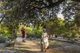 jardin-antique-mediterranéen-sete-archipel-de-thau