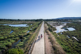 L’étang de Thau à vélo