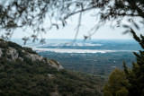 parc-a-huitres-donsansebas-ot-thau-26686-10781377