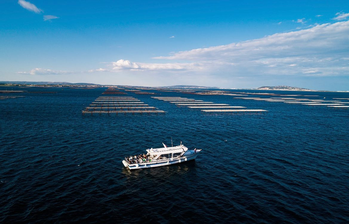 Balade en bateau à Marseillan