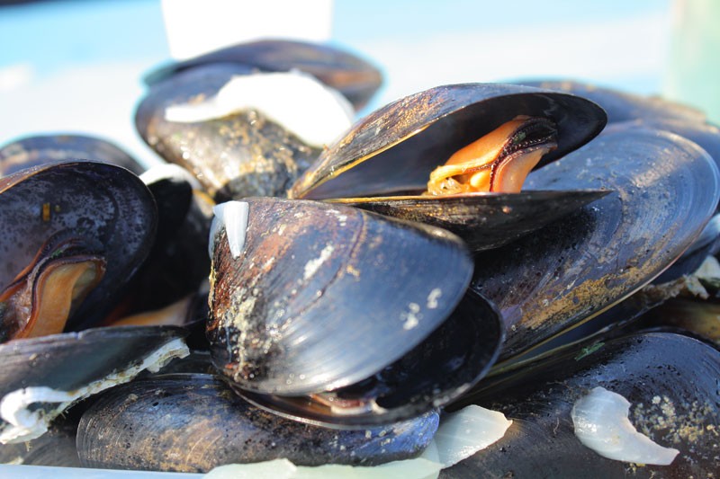 Moules de la lagune de Thau