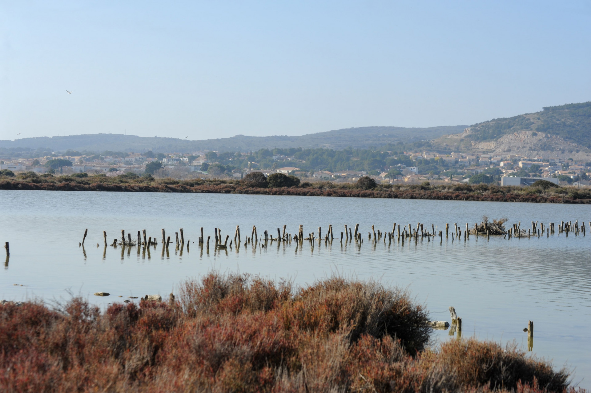 Les anciens salins de Frontignan