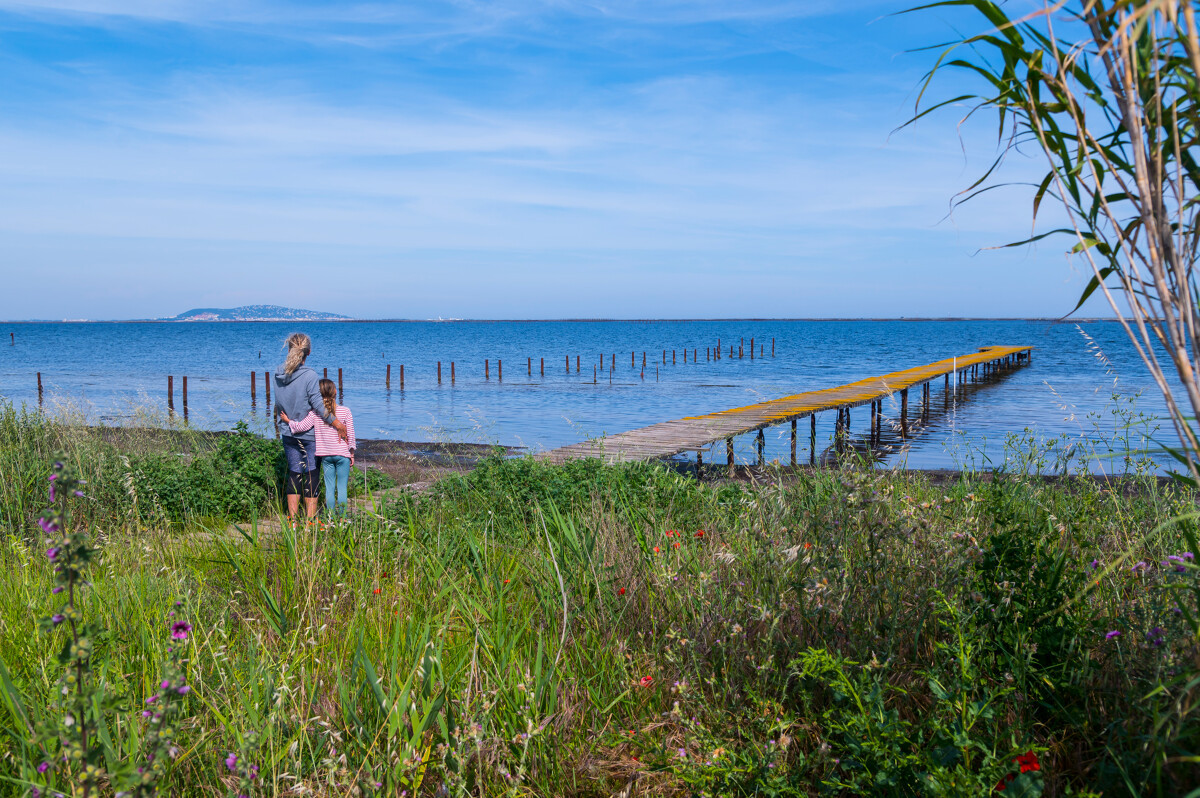ponton-lagune-s-bie-ot-thau-22598-1200px-12329369