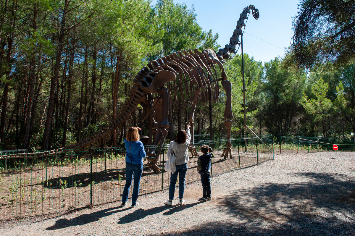 Remontez le temps au musée-parc des Dinosaures de Mèze