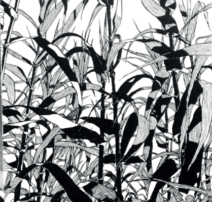 PRIMAVERA, LIGNES FERTILES : RENCONTRE ET DESSINS AU JARDIN