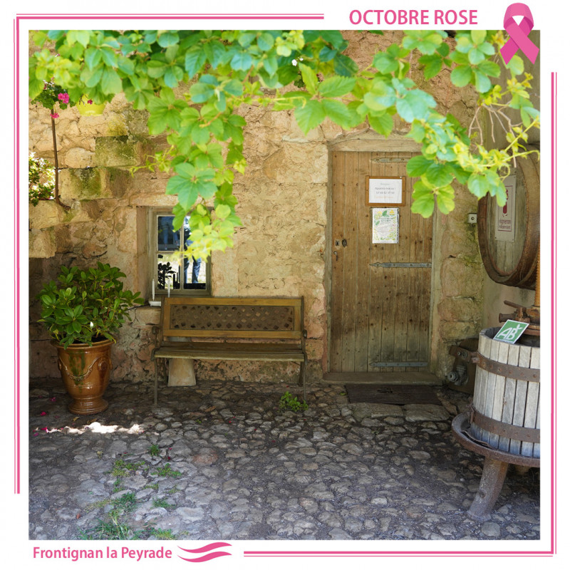 OCTOBRE ROSE 8.jpg