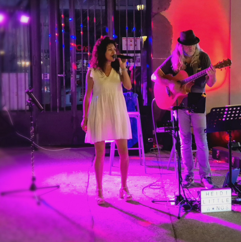Heidi Little Wings concert acoustique.jpg