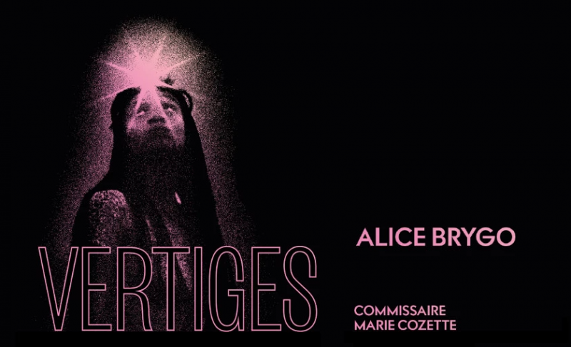 EXPOSITION VERTIGES PAR ALICE BRYGO.png