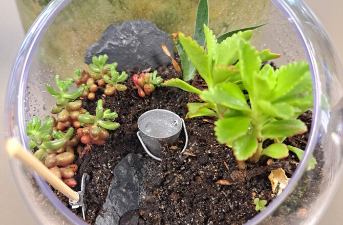  MON PETIT JARDIN BULLE