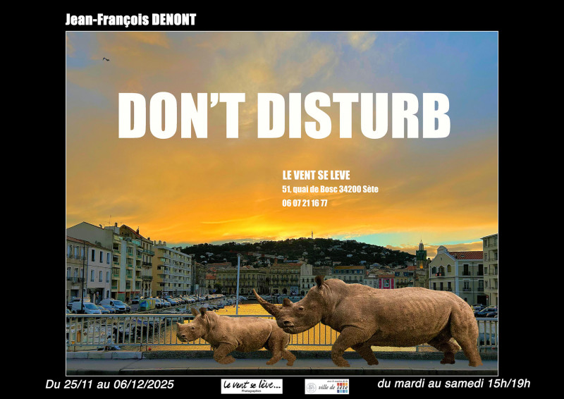 DON'T DISTURB affiche web.jpg
