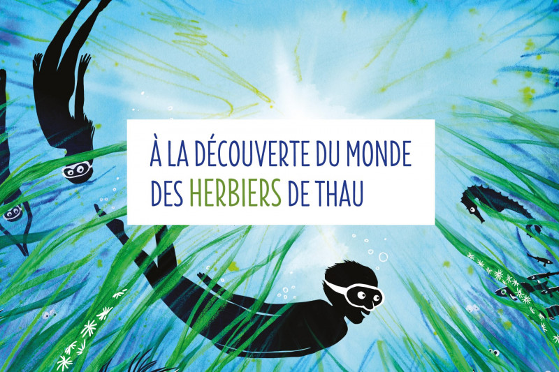 8-herbiers-17131462