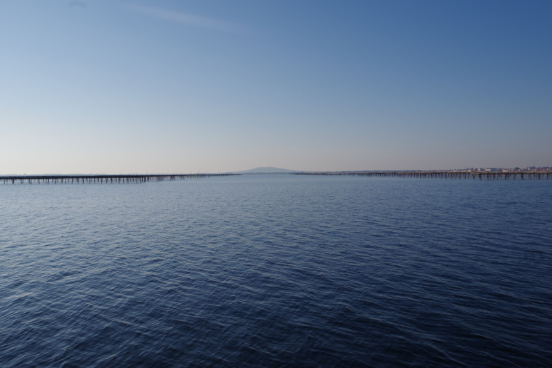 BALADE NATURE : TOCS TOCKS BATEAU AVEC LE CPIE