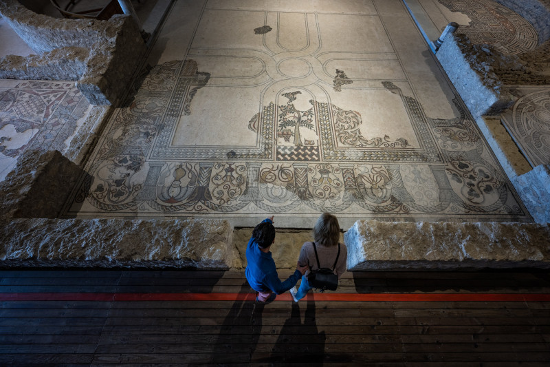 VISITES GUIDÉES AVEC UN MÉDIATEUR