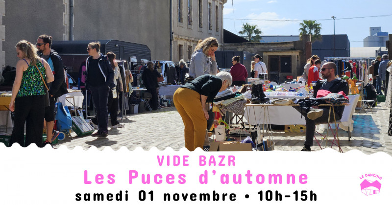 BandeauFb_1920x1005_puces_automne.jpg
