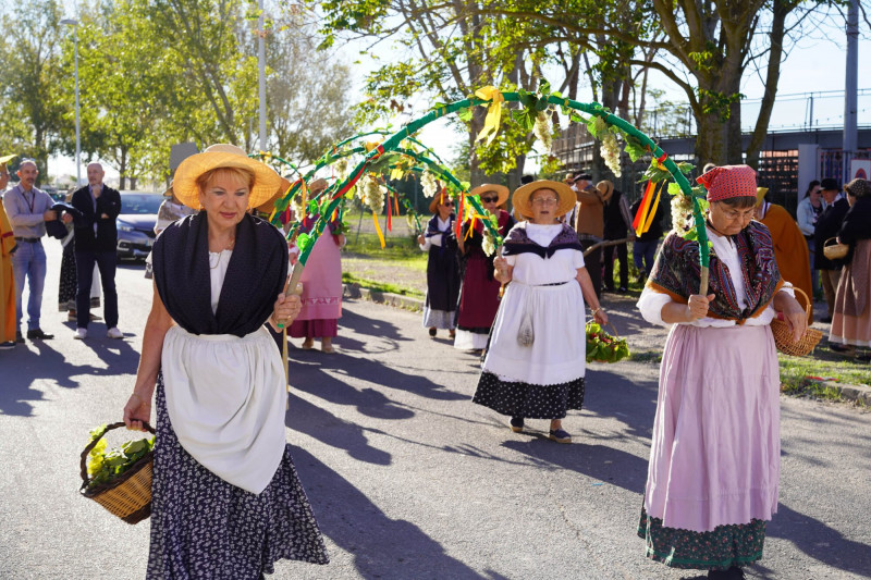 240929_FETE_DES_VENDANGES_DEFILE_ARENES_EGLISE_SAINT_PAUL_ROUSTAN_146-min-2000x1333.jpg