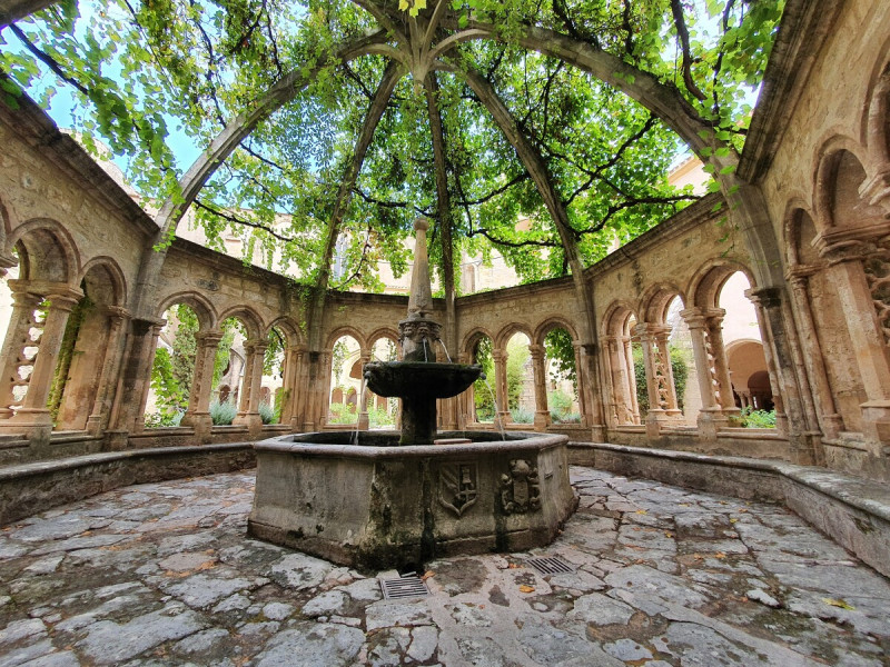 abbaye-de-valmagne-f-ambrosino-ot-thau-7965-1200px-16223947