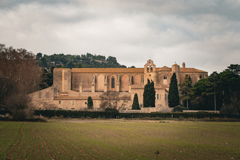 abbaye-de-valmagne-m-ricard-ot-thau-31857-1200px-16223944