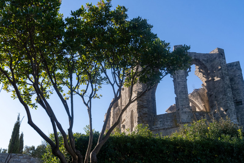 abbaye-saint-felix-de-montceau-m-ricard-ot-thau-26694-10781379 - © m-ricard-ot-thau abbaye-saint-felix-de-montceau-m-ricard-ot-thau-26694-10781379