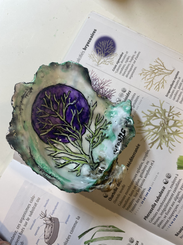 ATELIER PEINTURE SUR HUÎTRE - © ATELIER PEINTURE SUR HUÎTRE ATELIER PEINTURE SUR HUÎTRE