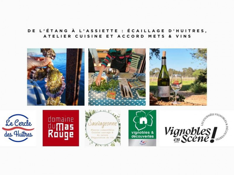 atelier-vignobles-en-scne-17748946