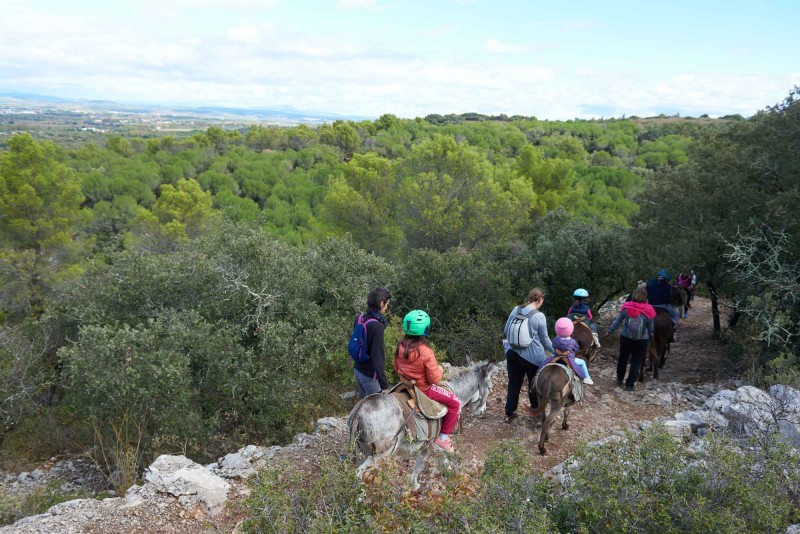 Balade à dos d'âne 1