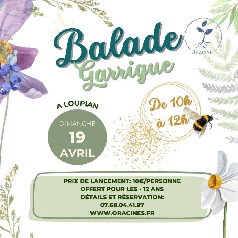 BALADE BOTANIQUE DANS LA GARRIGUE LOUPIANAISE - © alexia BALADE BOTANIQUE DANS LA GARRIGUE LOUPIANAISE