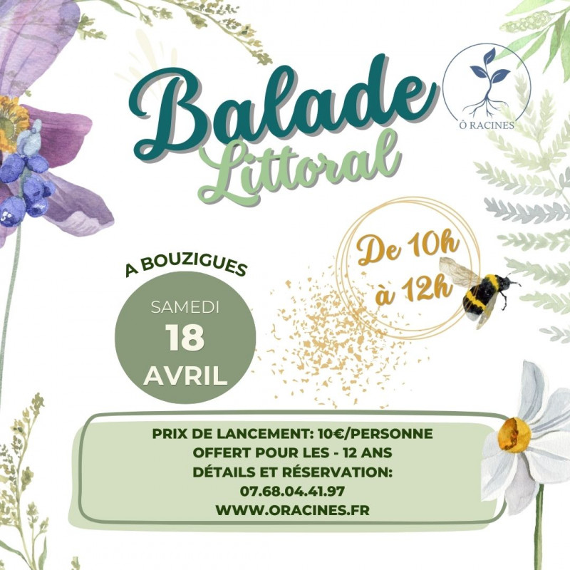 BALADE BOTANIQUE SUR LE LITTORAL DE BOUZIGUES - © alexia BALADE BOTANIQUE SUR LE LITTORAL DE BOUZIGUES