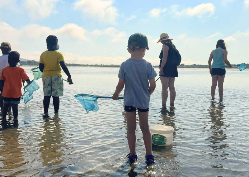 BALADE : LES PIEDS DANS LA LAGUNE, DANS LA MER