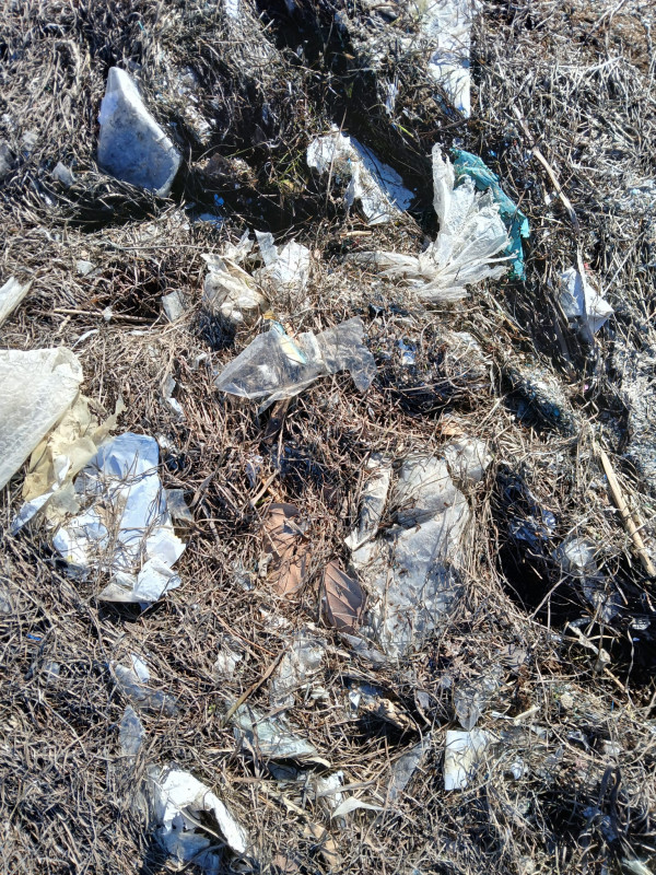 BALADE - RAMASSAGE SUR LES BERGES DE L'ÉTANG DE THAU - © Thau Kite Club BALADE - RAMASSAGE SUR LES BERGES DE L'ÉTANG DE THAU