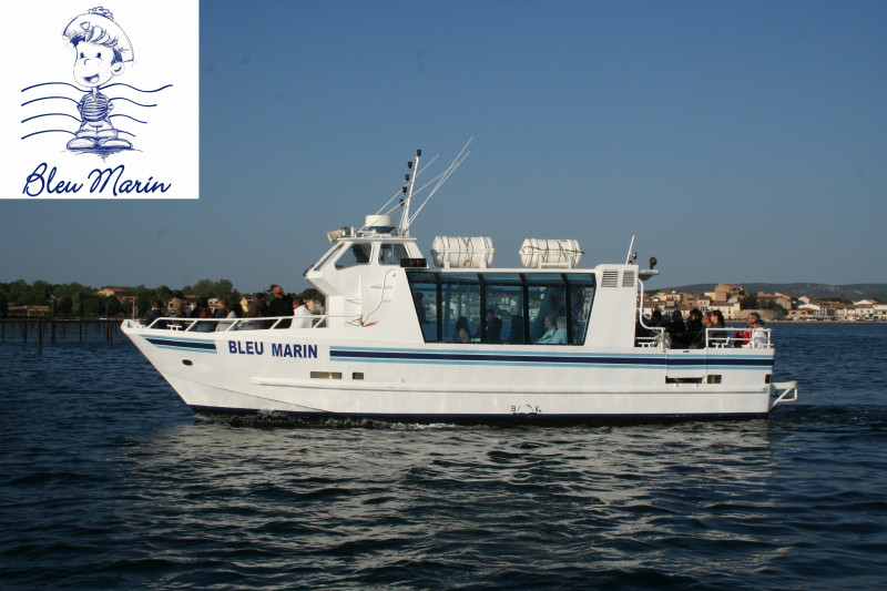 bleu-marin-bateau-2013-ok-8422002