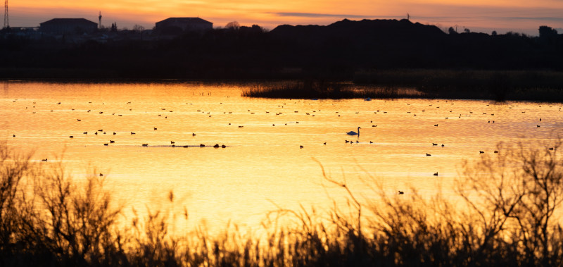 Anim_FeteNature_couchersoleil (1).jpg