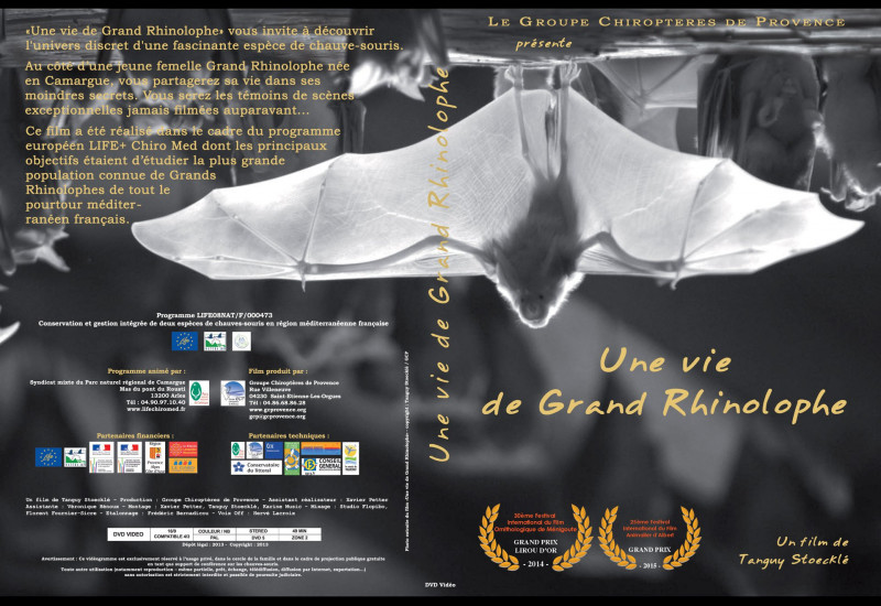 CINÉ-NATURE : LA VIE DE GRAND RHINOLOPHE !