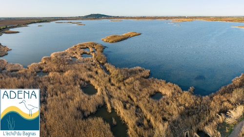 conference-especes-exotiques-envahissantes-17969521