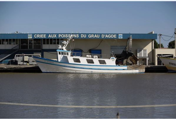 criee-grau-agde-guyomard-pascale-3-16392460