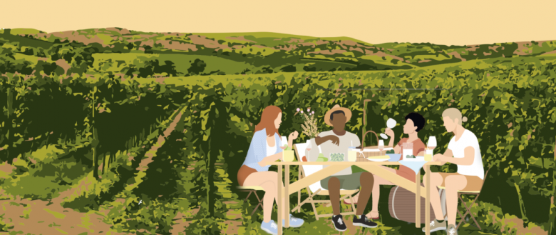 bandeau-vignes-piquenique-2-e1679068080314-1024x432.png