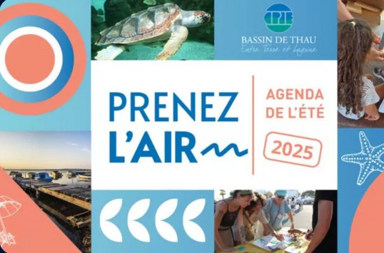 UN ÉTÉ NATURE AVEC LE CPIE BASSIN DE THAU !