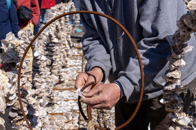 ESCALE À SÈTE 2026 : FÊTE DES TRADITIONS MARITIMES ESCALE À SÈTE 2026 : FÊTE DES TRADITIONS MARITIMES