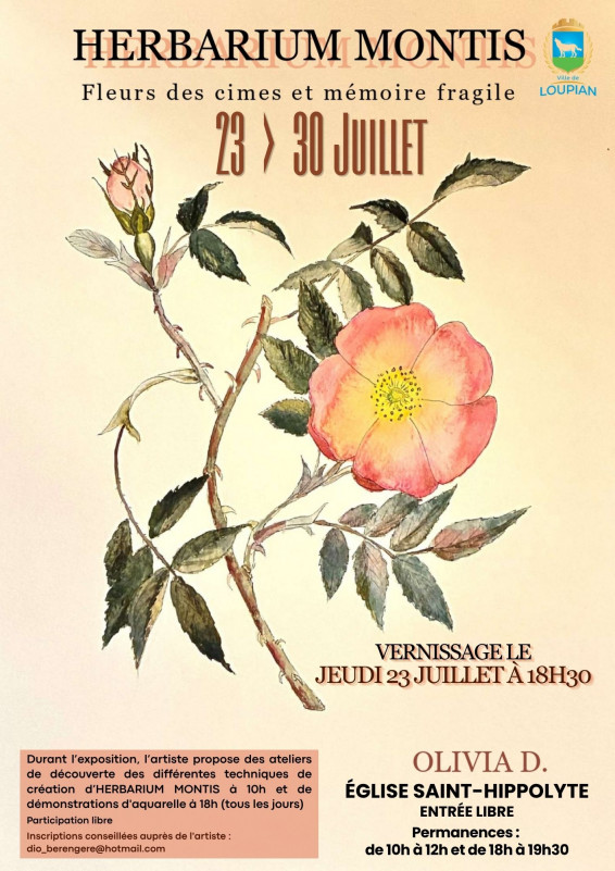 EXPOSITION HERBARIUM MONTIS – OLIVIA D