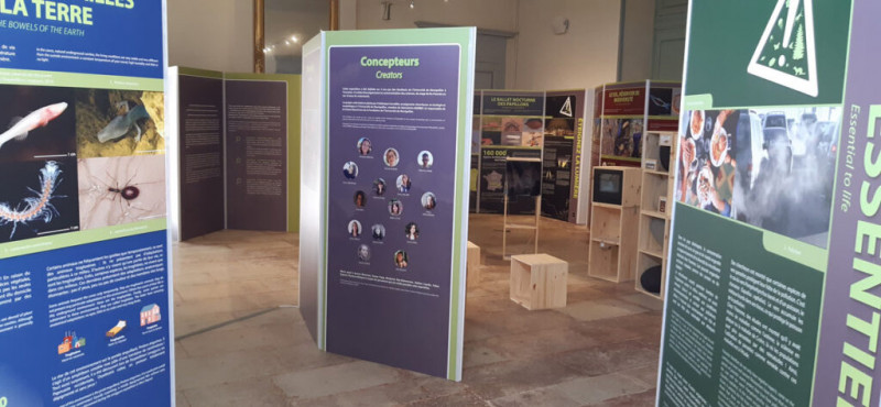 exposition-la-biodiversit-cach-e-17465081